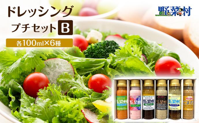野菜村ドレッシング プチセット B（コール