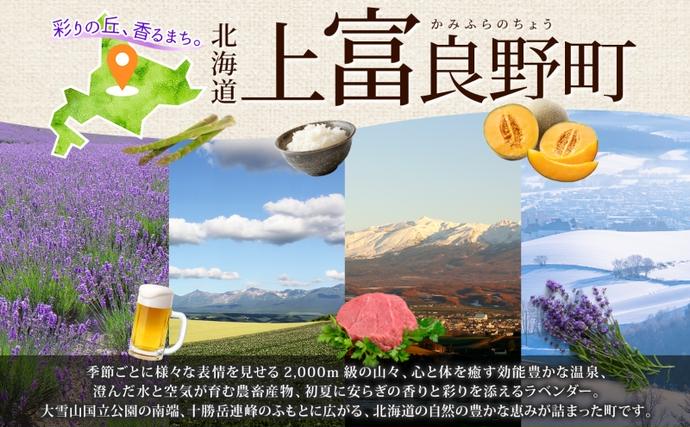 北海道上富良野町のふるさと納税 【令和8年産】メロン 1.6kg～1.99kg 2玉 北海道 上富良野産 最上等級 秀品 赤肉メロン  糖度14度以上 糖度14 セット めろん 果物 フルーツ デザート くだもの 旬の果物 旬のフルーツ 北海道 富良野 上富良野町