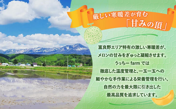 北海道上富良野町のふるさと納税 【令和8年産】富良野 高糖度 赤肉メロン 1玉 約1.8kg ～ 2.3kg うっちーfarm 北海道 メロン フルーツ 果物 デザート上富良野産