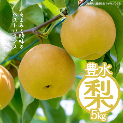 豊水 約5kg(茨城県共通返礼品:かすみがうら市) 2026年9月上旬発送開始 梨 数量限定 なし ナシ フルーツ 果物 旬 産地直送 [FF004sa]