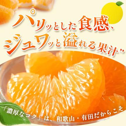 和歌山県美浜町のふるさと納税 ＜4月より発送＞厳選 樹上完熟はっさく5kg+250g（傷み補償分）【有田の春みかん・五月八朔・木生りはっさく】【光センサー選別】