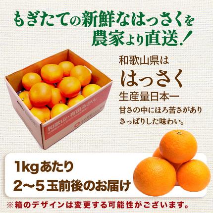 和歌山県美浜町のふるさと納税 ＜4月より発送＞厳選 樹上完熟はっさく5kg+250g（傷み補償分）【有田の春みかん・五月八朔・木生りはっさく】【光センサー選別】
