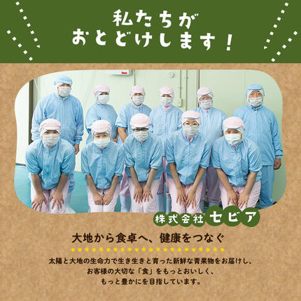 鹿児島県志布志市のふるさと納税 【志布志市制20周年記念】鹿児島県産 冷凍ブロッコリー(計1.2kg) p9-044