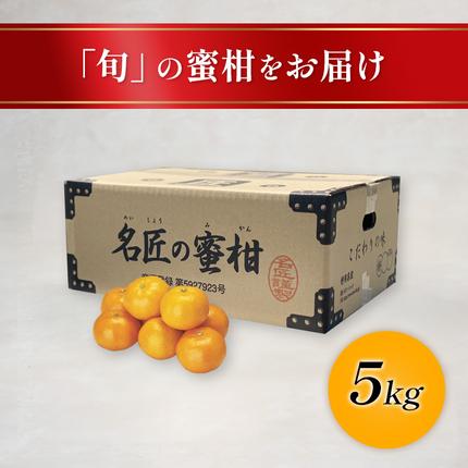 静岡県浜松市のふるさと納税 特秀 名匠のみかん S～Mサイズ 5kg【配送不可：離島】果物 くだもの フルーツ 旬の果物 旬のフルーツ みかん 蜜柑 ミカン 柑橘 柑橘類 秀品 静岡 静岡県 浜松市