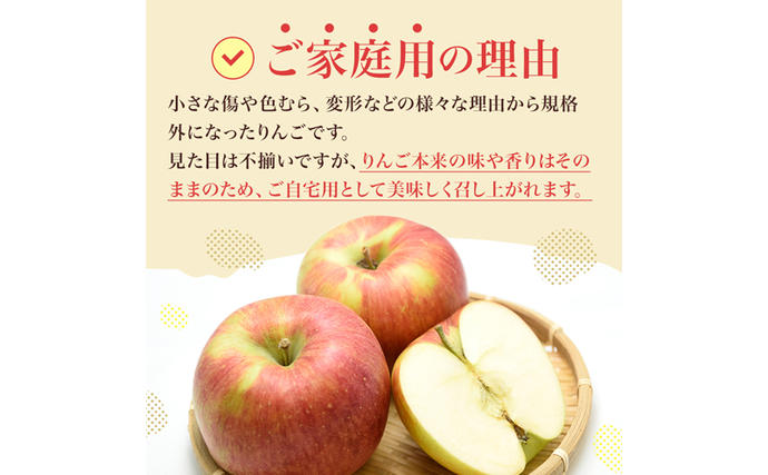 長野県小諸市のふるさと納税 りんご シナノスイート 家庭用 約10kg  フルーツ 果物 甘い 訳あり おいしい 林檎