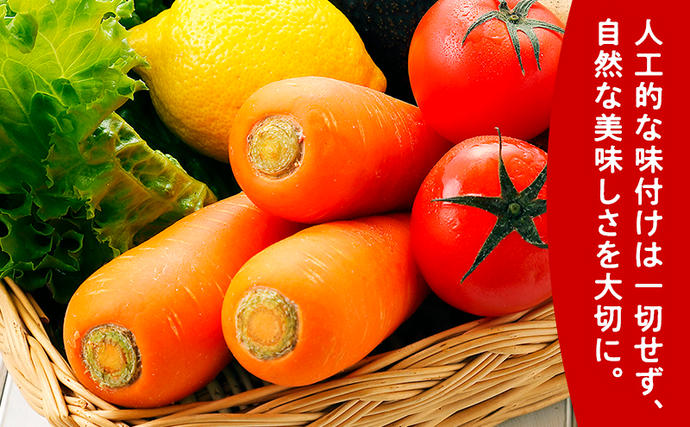 北海道富良野市のふるさと納税 ふらの にんじん100 160g×30本入  (ジュース 野菜ジュース 飲み物 缶 北海道 送料無料 道産 富良野市 ふらの)