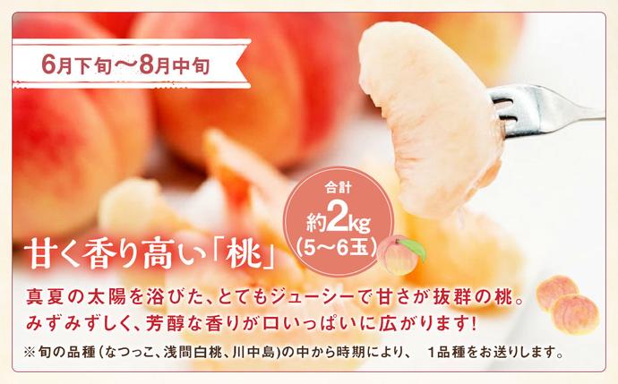 山梨県中央市のふるさと納税 【期間限定発送】【旬の桃とシャインマスカットの2回定期便】令和7年 桃約2kg（5～6玉）、シャインマスカット約1.8kg（2～4房） [株式会社えべし 山梨県 中央市 21470869] ぶどう 桃 フルーツ 果物 くだもの ブドウ シャイン マスカット もも 葡萄 期間限定 季節限定 【2026年6月下旬-10月下旬発送予定】