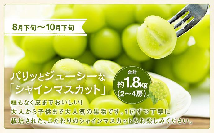 山梨県中央市のふるさと納税 【期間限定発送】【旬の桃とシャインマスカットの2回定期便】令和7年 桃約2kg（5～6玉）、シャインマスカット約1.8kg（2～4房） [株式会社えべし 山梨県 中央市 21470869] ぶどう 桃 フルーツ 果物 くだもの ブドウ シャイン マスカット もも 葡萄 期間限定 季節限定 【2026年6月下旬-10月下旬発送予定】