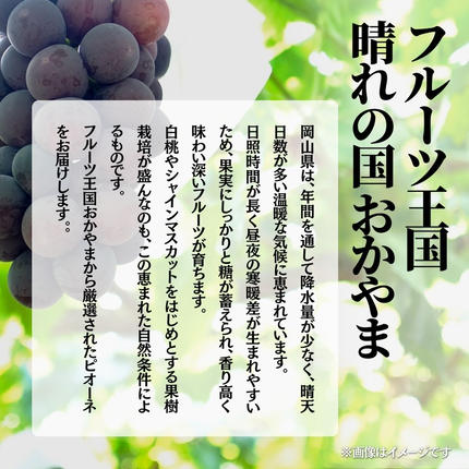 岡山県鏡野町のふるさと納税 【2026年発送 先行予約】【梅村ファーム】朝摘み直送 ピオーネ（3?5房入り 約2.0kg）【030-a021】