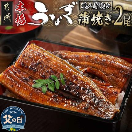 [父の日]職人手焼きの本格うなぎ蒲焼き2尾≪6月18日〜21日お届け≫_MJ-33-003-2-FG