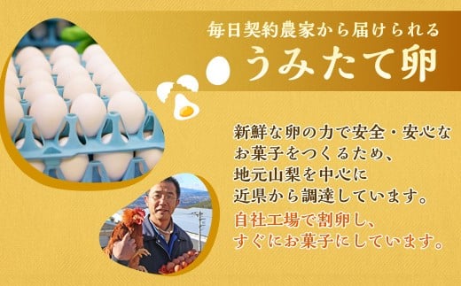 山梨県中央市のふるさと納税 【シャトレーゼ】 ふっくら シュー アイス（バニラ） 【個包装】 18個入 （6個入×3袋） しぼりたて牛乳 ミルキー
