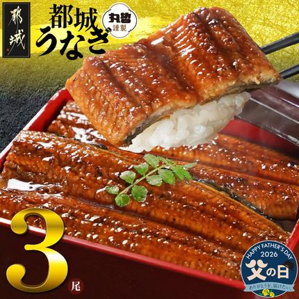 [父の日]宮崎県育ちのうなぎ蒲焼3尾500g以上≪山椒・たれ付≫≪6月18日〜21日お届け≫