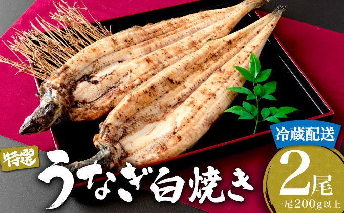 [土用の丑の日(7月26日)着]うなぎ白焼き 400g (200g×2尾) / 国産 白焼き 長焼き ウナギ 鰻 白焼 冷凍 贈答 うなぎ 冷蔵