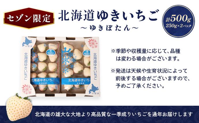 北海道中標津町のふるさと納税 【セゾン限定】【2027年１月以降発送！】【北海道産】ゆきいちご（白いちご） 2Pセット 250g×2 計500g【59004】