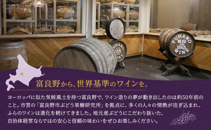 おすすめ！ふらのワイン赤 720ml×3本セット (お酒 酒 ワイン ぶどう
