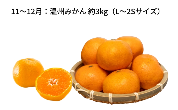 香川県土庄町のふるさと納税 フルーツ 定期便 4回 香川県産 小豆島 国産 キウイ 香緑 約1.2kg 女峰 いちご びわ 茂木 各約1kg みかん 温州みかん 約3kg 果物 果実 くだもの 柑橘 旬 食べ比べ 冷蔵 常温 セット 詰め合わせ ギフト 贈り物 お取り寄せ 五色青果 香川県 土庄町