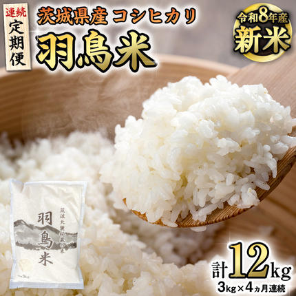 《全4回 定期便》《 令和8年産 》 コシ