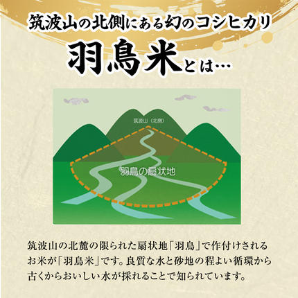茨城県桜川市のふるさと納税 《全4回 定期便》《 令和8年産 》 コシヒカリ 「幻の米 羽鳥米」 計 12kg (3kg × 4回) 筑波北麓秘蔵米 先行予約 お米 ごはん 精米 コメ 白米 国産 茨城県 桜川市 限定 期間限定 数量限定 銘柄米 [AX005sa]