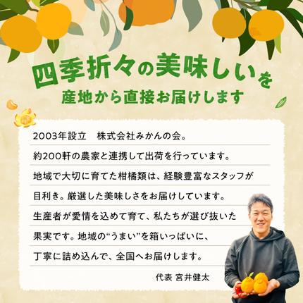 和歌山県湯浅町のふるさと納税 MK1046_【2026年先行予約】みかん Ｓサイズ 秀品 箱込 5kg ( 内容量 4.4kg ) 有田みかん 和歌山県産 産地直送 贈答用 【みかんの会】