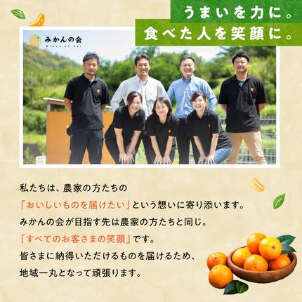 和歌山県湯浅町のふるさと納税 MK1046_【2026年先行予約】みかん Ｓサイズ 秀品 箱込 5kg ( 内容量 4.4kg ) 有田みかん 和歌山県産 産地直送 贈答用 【みかんの会】