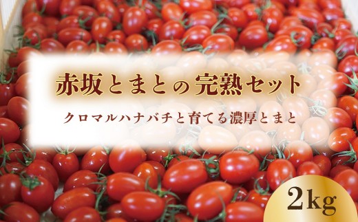 山梨県甲斐市のふるさと納税 【期間限定（３～７月）】赤坂とまとの完熟セット　DE-1