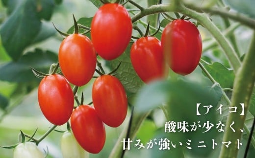 山梨県甲斐市のふるさと納税 【期間限定（３～７月）】赤坂とまとの完熟セット　DE-1