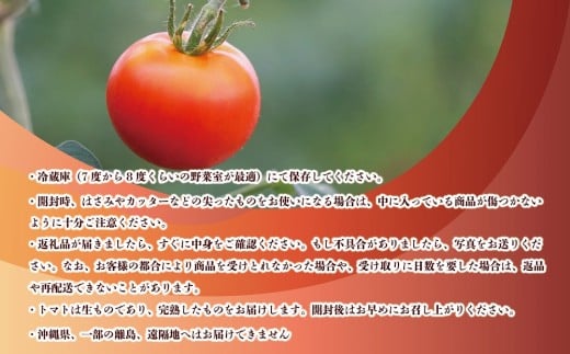 山梨県甲斐市のふるさと納税 【期間限定（３～７月）】赤坂とまとの完熟セット　DE-1