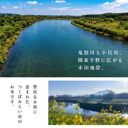 茨城県つくばみらい市のふるさと納税 【 無洗米 】令和7年産 コシヒカリ 5kg 茨城県つくばみらい市産 時短 手軽 粘り 甘み 茨城 こしひかり 令和7年 [FF01-NT]