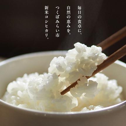 茨城県つくばみらい市のふるさと納税 【 無洗米 】令和7年産 コシヒカリ 5kg 茨城県つくばみらい市産 時短 手軽 粘り 甘み 茨城 こしひかり 令和7年 [FF01-NT]