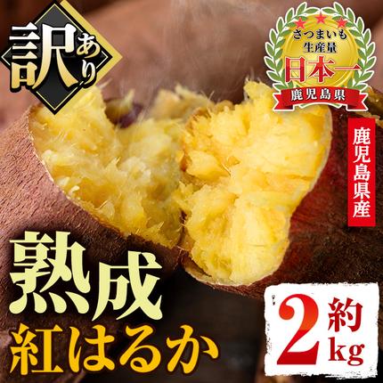 No.560-C ＜訳あり・不揃い＞鹿児島