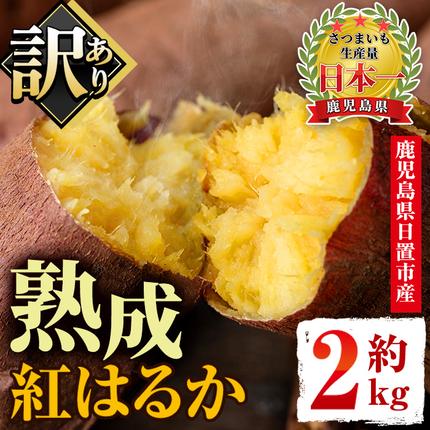 No.560-C ＜訳あり・不揃い＞鹿児島