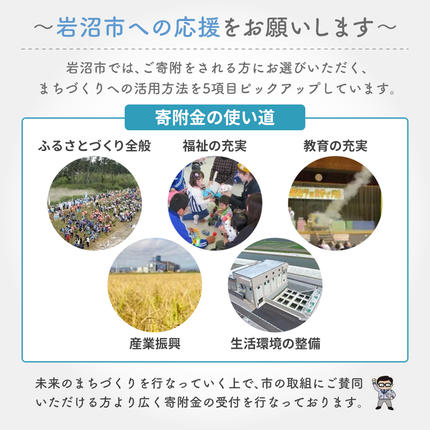 宮城県岩沼市のふるさと納税 ティッシュ スコッティ フラワーボックス 20箱 ( 5箱 × 4パック ) ティッシュ