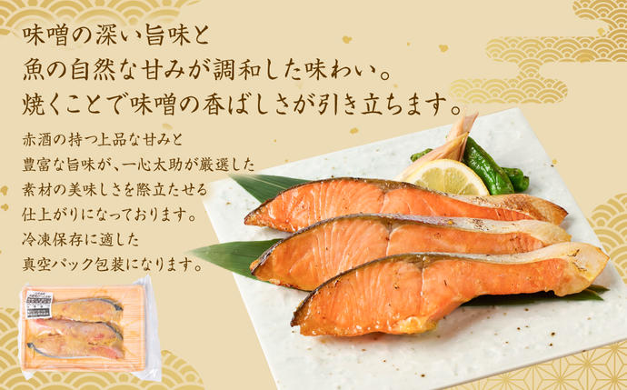 熊本県八代市のふるさと納税 【定期便6回】酒蔵育ち 肥後のプレミアムサーモン 味噌漬け 3切入×1パック サーモントラウト 銀鮭 味噌漬け 赤酒 切身 切り身 和食 魚 おかず 熊本県 八代市