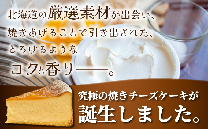 北海道伊達市のふるさと納税 冷凍 ベイクド チーズケーキ ナチュールフロマージュ 5号 15cm 北海道 伊達 スイーツナチュール