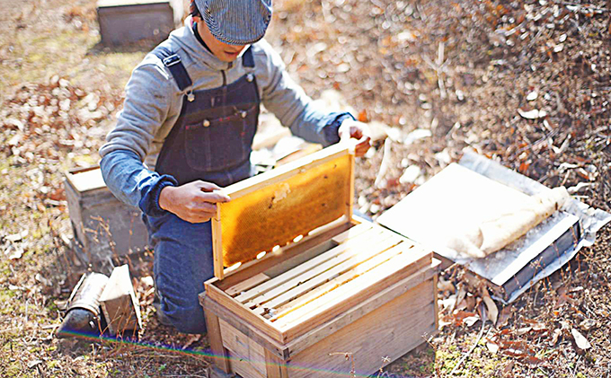 静岡県浜松市のふるさと納税 養紡屋"yohoya"のはちみつ5個セット（2～5種類季節によって変ります） 蜂蜜