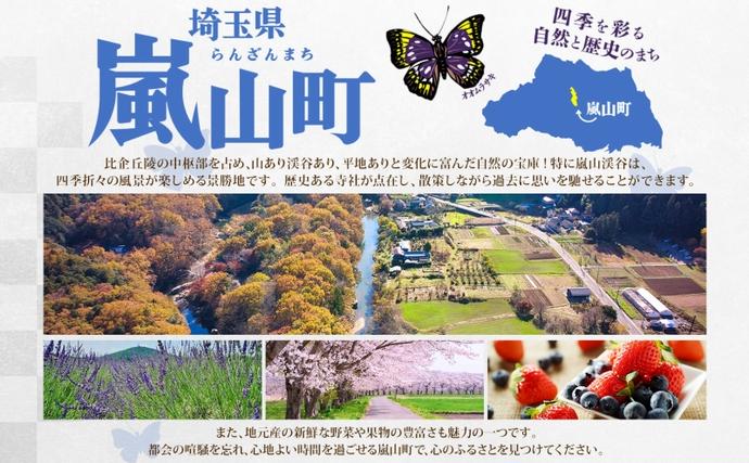 埼玉県嵐山町のふるさと納税 史跡最中 12個 芋ようかん 紅あずま 2本 紫芋 1本 セット 最中 もなか ようかん 羊羹 芋羊羹 和菓子 スイーツ さつまいも サツマイモ あんこ つぶあん 手土産 ギフト 食べ比べ 送料無料 岡松屋 嵐山町 埼玉県 お届け：2025年11月中旬～2026年4月下旬