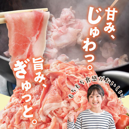 宮崎県都城市のふるさと納税 「前田さん家のスウィートポーク」肉肉肉4kgセット_AC-89-002-4kg