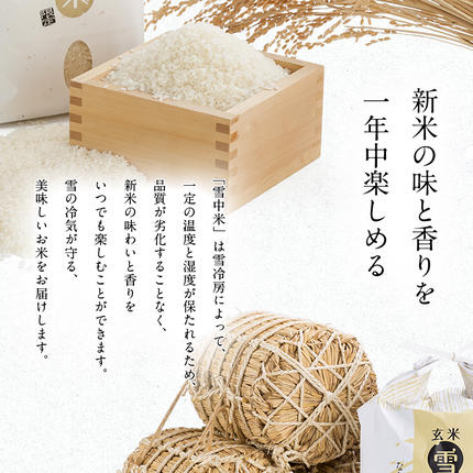 北海道沼田町のふるさと納税 令和7年産 特Aランク米 ななつぼし 精米 5kg（5kg×1袋）【5月発送】 雪冷気 籾貯蔵 雪中米 北海道 nr-1437