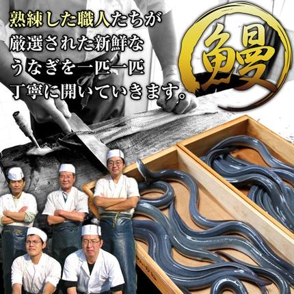 静岡県浜松市のふるさと納税 国産うなぎ蒲焼　15尾（約120g×15尾）セット　タレ・山椒付き 肝焼き付き うなぎのあいかね　鰻　白焼き　土用の丑の日　贈答　レンチン　浜名湖　冷凍　静岡　浜松市　【配送不可：離島】