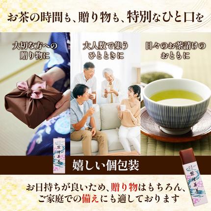 北海道中標津町のふるさと納税 標津羊羹 （一口サイズ） 50g ×6本 計300g【22014】