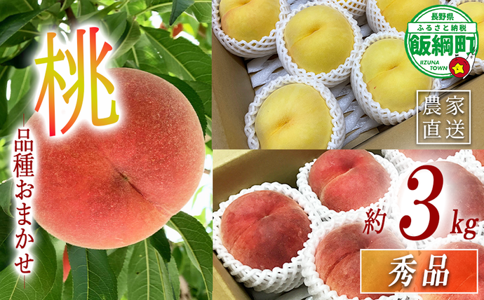 季節の桃 もも 秀品 3kg ( 品種はおまかせ ) 配送先は本州限定 2026年8月上旬頃から2026年9月下旬頃まで順次発送予定 令和8年収穫分 信州 果物 フルーツ モモ 桃 長野 19500円 予約 長野県 飯綱町 [1915]
