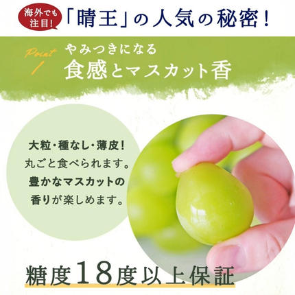 岡山県鏡野町のふるさと納税 シャインマスカット晴王1房（約800ｇ）化粧箱入