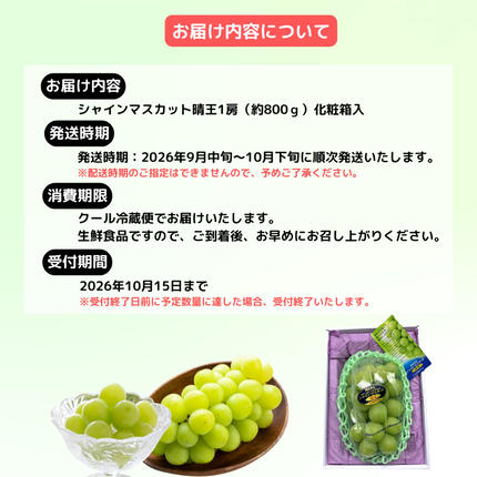 岡山県鏡野町のふるさと納税 シャインマスカット晴王1房（約800ｇ）化粧箱入