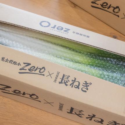 長ネギ 約5kg 約45本 茨城県産 八千代町産 野菜 農家直送 化成肥料不