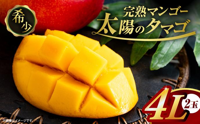 完熟マンゴー 太陽のタマゴ 4L × 2玉 期間限定 数量限定 宮崎 マンゴー フルーツ 果物 くだもの 国産 食品 ブランドマンゴー 糖度15度以上 希少 濃厚 デザート おすすめ 冷蔵 ご褒美 贅沢 おすそわけ 化粧箱入り ギフト 贈り物 贈答 日南市 送料無料_IG5-25