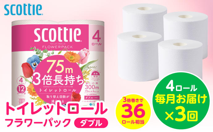【定期便3回】【毎月お届け】【スコッティ】