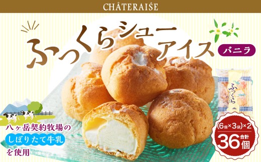 【シャトレーゼ】ふっくら シューアイス（バ