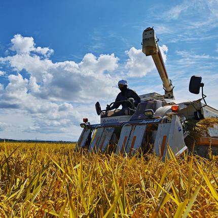 秋田県三種町のふるさと納税 《令和8年産  新米先行受付》《定期便8ヶ月》秋田県産 あきたこまち 10kg(10kg×1袋)×8回【白米】計80kg