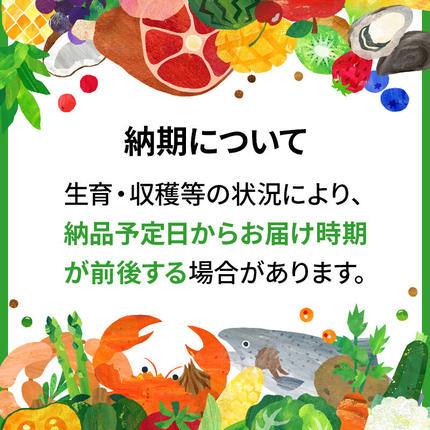 秋田県三種町のふるさと納税 《令和8年産  新米先行受付》《定期便2ヶ月》秋田県産 あきたこまち 10kg(10kg×1袋)×2回【玄米】計20kg