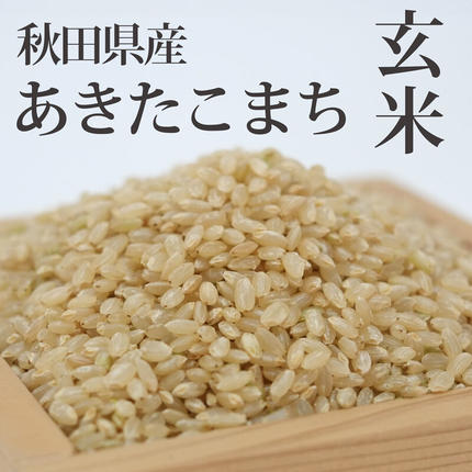 秋田県三種町のふるさと納税 《令和8年産  新米先行受付》《定期便2ヶ月》秋田県産 あきたこまち 10kg(10kg×1袋)×2回【玄米】計20kg